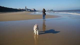 Cromer, February 7th 2020 by James Anderson 238 views 3 years ago 3 minutes, 57 seconds