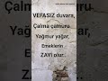 Ziyan oldum.#shorst #shortvideo #şiir #şiirheryerde #trend #kitle #viral #reels #keşfet #viralvideo