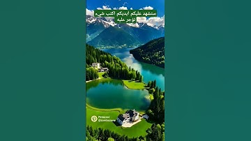 خواتم سوره الحشر بصوت الشيخ فارس عباد #اكسبلور