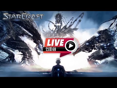   인피쉰 생방송 Live 스타 빨무 스타크래프트 Starcraft