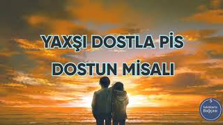 Yaxşı Dostla Pis Dostun Fərqi.