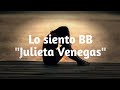 Julieta Venegas Lo Siento BB Version Sola mp3