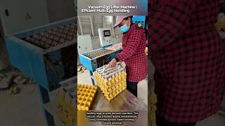 Vacuum Egg Lifter Machine | Efficient Multi-Egg Handling System #9work
