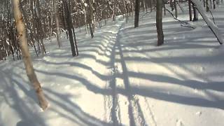 CLIP0017.MP4