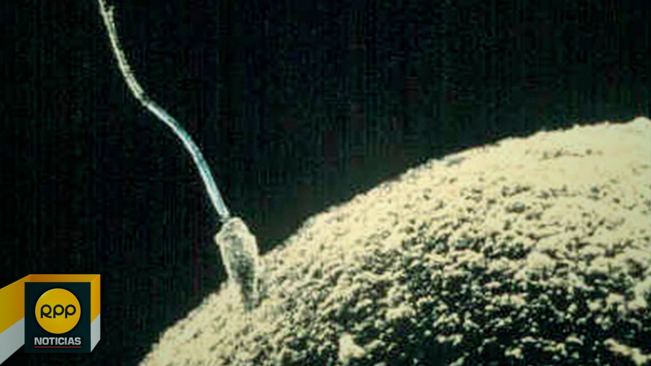 que porcentaje hay de quedar embarazada con liquido preseminal