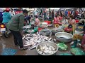 Cambodia Fish Market Scene - Big Site Distribute Alive Fish, Dry Fish, Seafood &amp; More @Prek Phnov