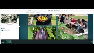 Creating a Story Map