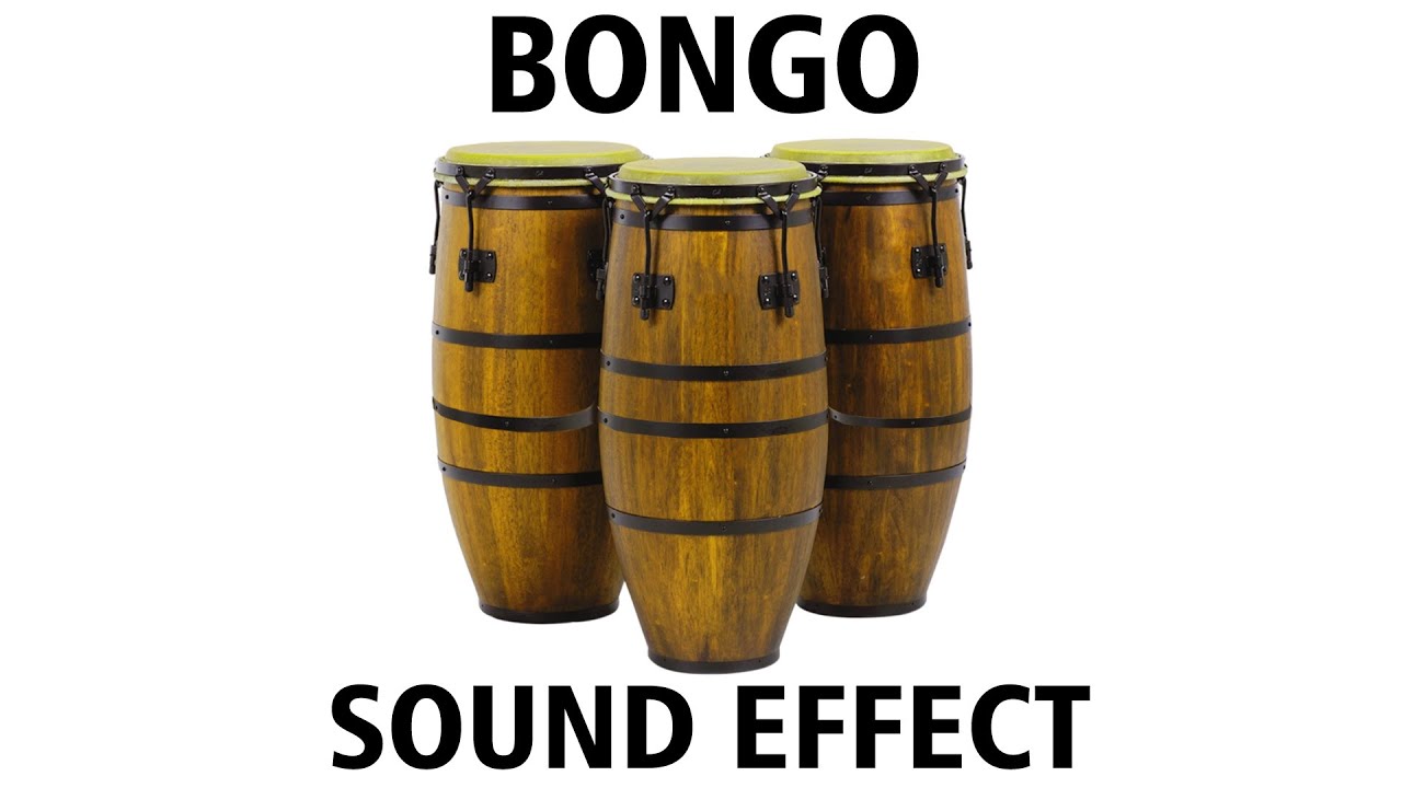Bongo Sounds Bongos Sample Sound Effect HD LOOPS YouTube