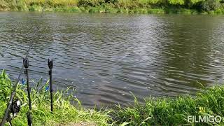 Parmy Na Odře Vol. 2 -Km Fishing