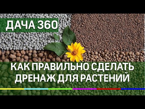 Как правильно сделать дренаж почвы на даче - ДАЧА 360