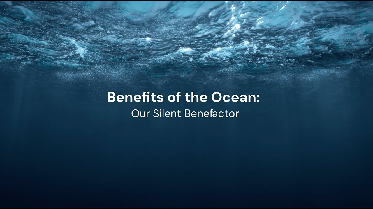 The Ocean's Tapestry: Weaving Sustainability into Our Lives