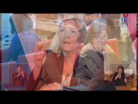 Le RN contre le RIC Constituant. Le Pen mentait. #GiletsJaunes #GJ