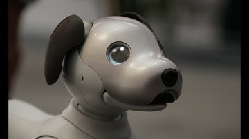 Meet Aibo, the robot dog from Sony
