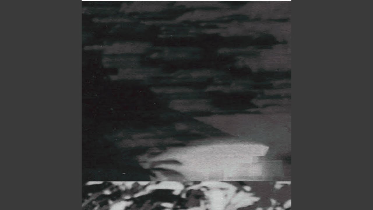 I Dreamt You Were A Crow