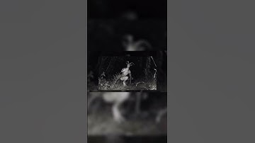 Thumbnail of Skinwalkers Caught on camera?!? 🤯