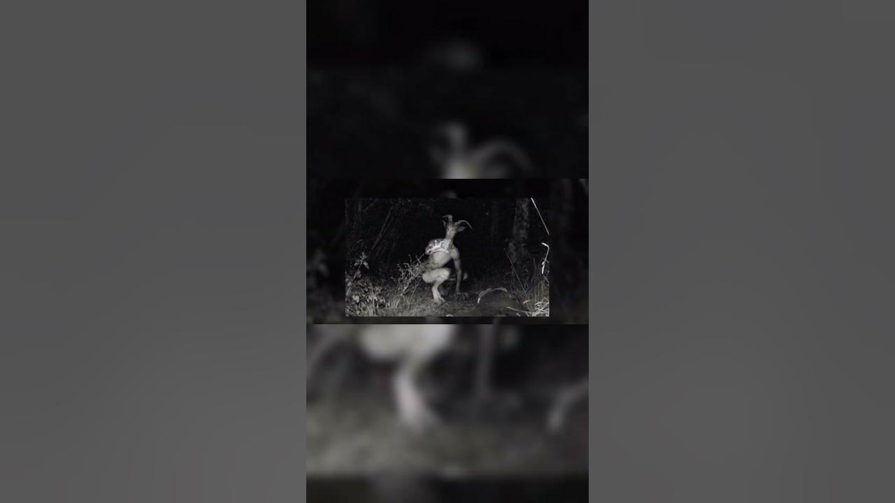 Skinwalkers Caught on camera?!? π€― Skinwalkers Caught on camera?!? π€―