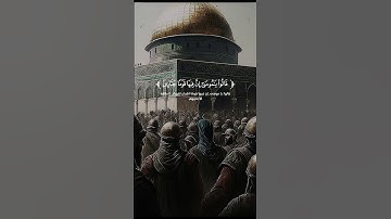 تلاوة عطرة من سورة المائدة بصوت القارئ عز الدين العوامي