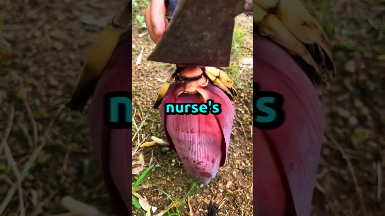 New Samsung S24 Ultra AI Features Are Crazy GalaxyS24Ultra GalaxyExperience GalaxyAI - YouTube Auto PHP Script