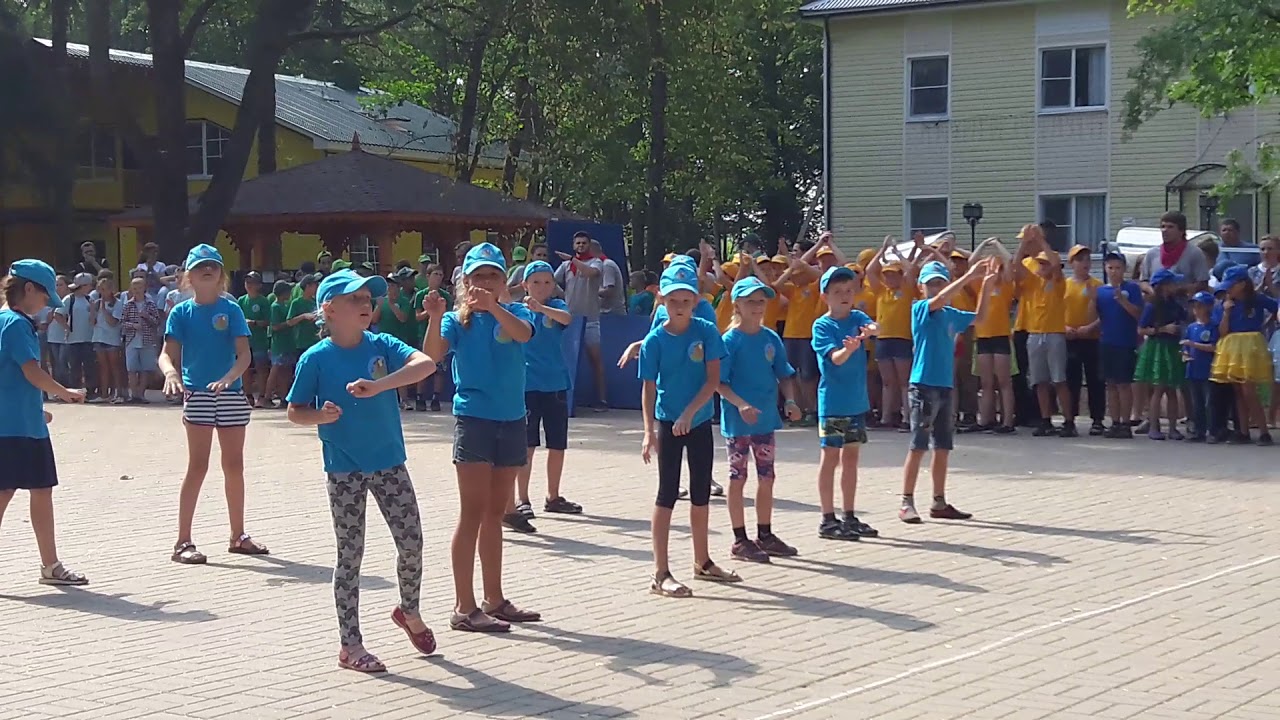 лесная сказка дзержинск