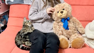 甘えてきた子猫を無視してテディベアを可愛がってみた結果w