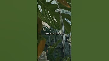 A SITE EXEC SMOKES FROM ONE POSITION #shorts #cs2