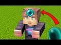What's inside MrBeast in Minecraft?