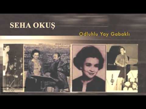 Seha Okuş- Odluhlu Yay Gabaklı [ Hasretinle Yandı Gönlüm © 2002 Kalan Müzik ]