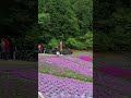 #beautifulplace in sanda city #japan #hanajoutan#vairalvideo #shorts