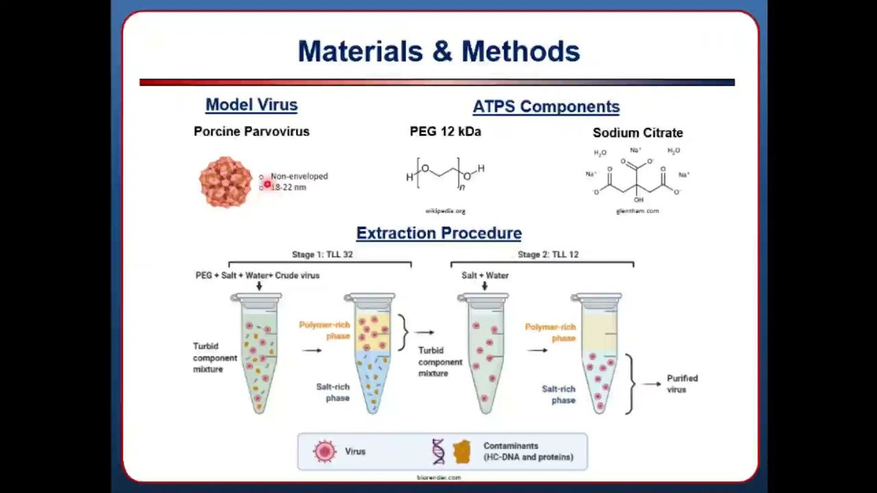 Preview image for Purifying viral vaccines by two-phase aqueous extraction - Seth Kirz video