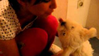 100-0030_MVI.AVI