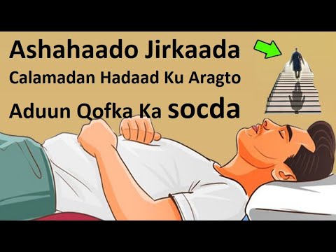 Ashahaado Calamadan Hadaad Ku Aragto Jirka Iyo Nolosha Habeynkii Ku Riyooto Udiyaar Noqo Waxa Imaan