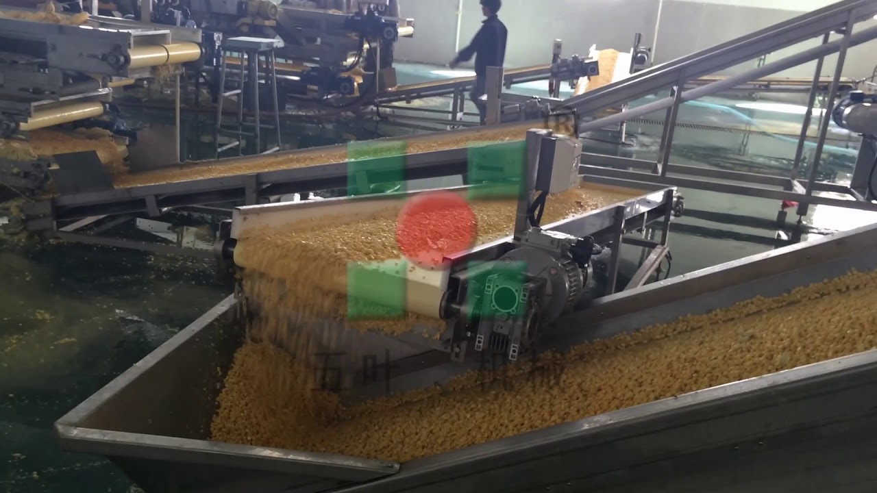 Corn mushroom processing equipment/ sweet corn steam machine/fruit vegetables freezing factory
