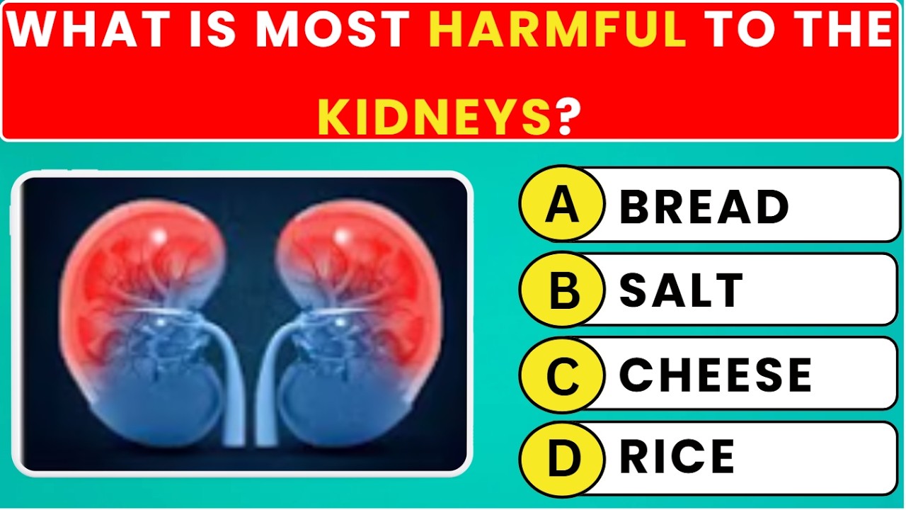 Can You Pass This Human Body Quiz? 🧠 50 Anatomy Trivia Questions! 💪