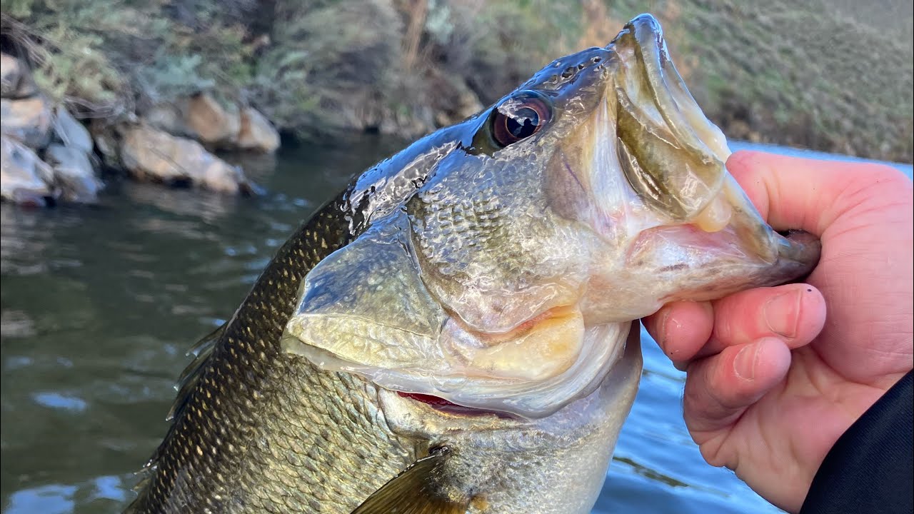 Southern California winter bass fishing 12-27-2025