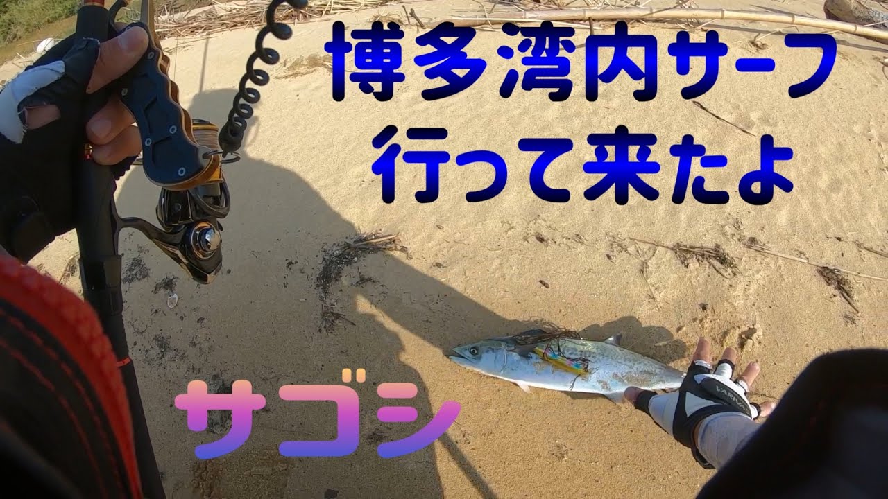 博多湾でルアー１１