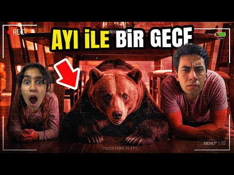 AYI İLE BERABER MASANIN ALTINDA 1 GECE GEÇİRMEK !? @derintass