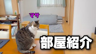 [Room tour] Cleaning the floor of a house where you live with cats｜Narwal Freo screenshot 5