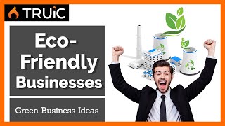 6 Eco Friendly Business Ideas  (Green Businesses for 2024)