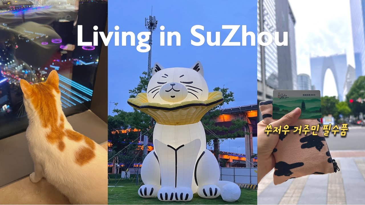 중국 브이로그🇨🇳 쑤저우 적응기ㅣ쑤저우 주민 필수품 원림카 신청⭐️ㅣ인형 받으러 도장깨기ㅣ나름 바빴던 이사후 삼일