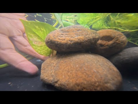 ASMR / UNDER WATER CAMERA  STONE SOUNDS & TINGLES,4K