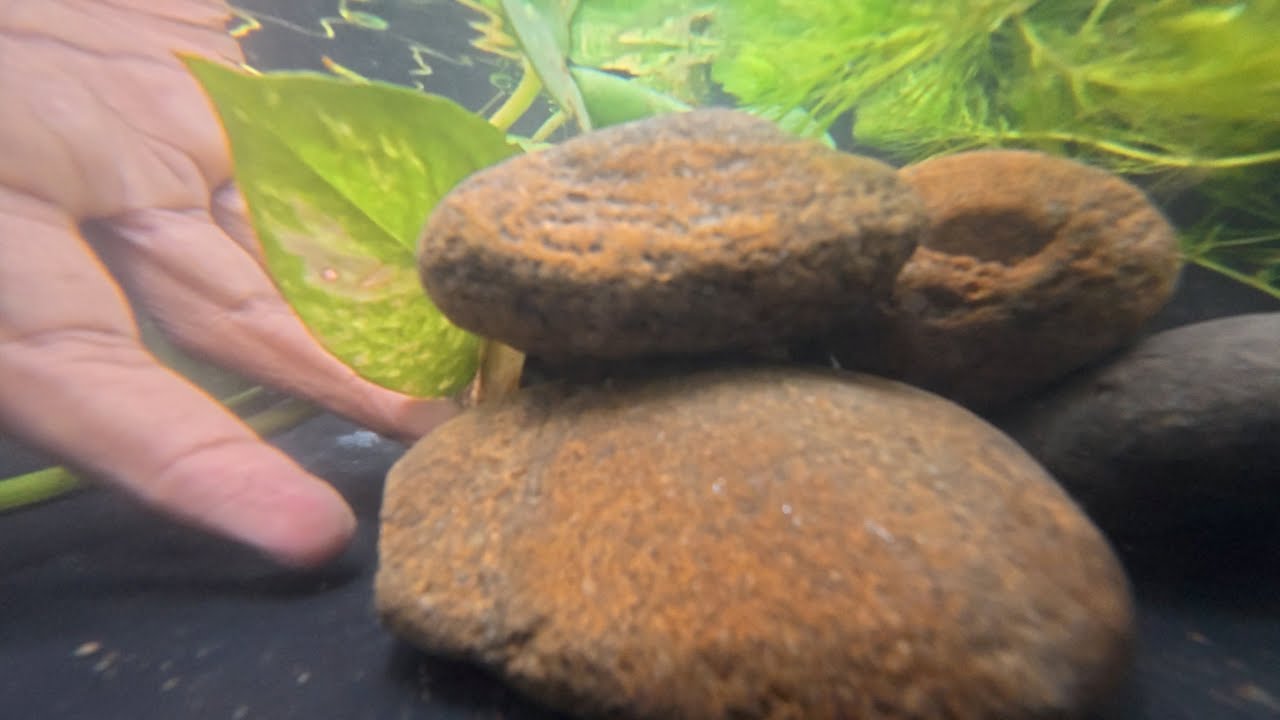 ASMR / UNDER WATER CAMERA  STONE SOUNDS & TINGLES,4K