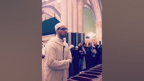 ايات من سورة النجم .. معتز أبو سنينة