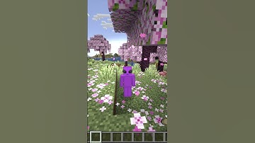 Day 74: Building a Minecraft House One Block a Day