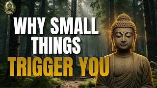 Why Small Things Make You Angry (Buddha’s Wisdom) | Insight of Buddha