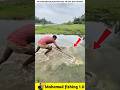 What fish did he catch in knee deep water? 🐟#viralvideo #facts #fishinggear #fishinglife #fish
