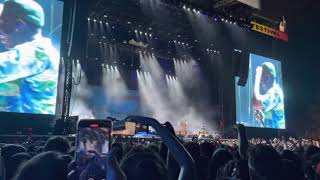 Tyler the Creator - Yonkers (Live) Profile