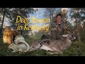 162 inch Buck, Scrapes/Rubs, Squirrel Hunting & more - South Central Kentucky
