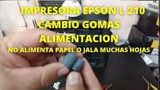 EPSON L 210 CAMBIO GOMAS DE ALIMENTACION,  FEED RUBBER CHANGE EPSON