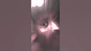 تسجيل الدخول فخم صكارين الشيعة 