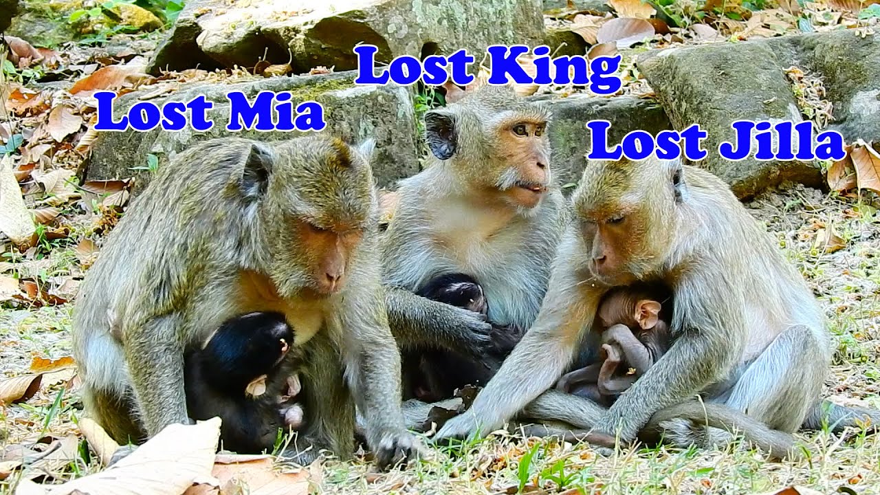 Pity Amari group less members cos Apsara replace them to other place.